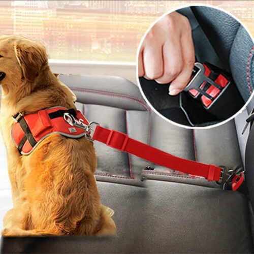 Telescopic dog Traction Belt