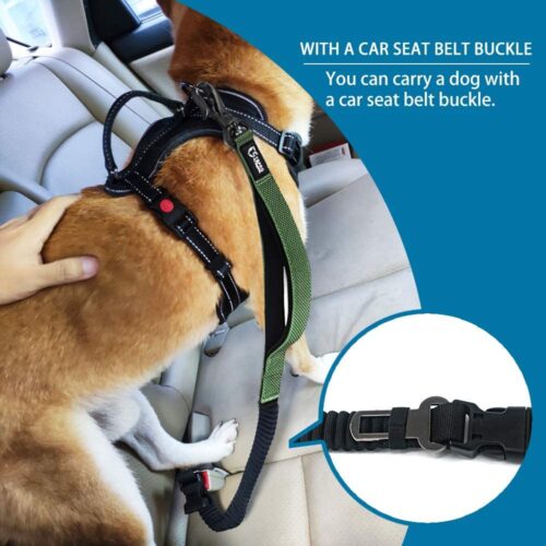 Heavy Duty Dog Traction Rope