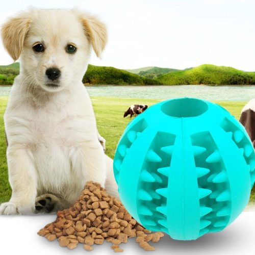 Slow Feeder Dog Toy