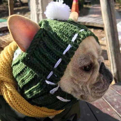 Funny woolen hat for pets