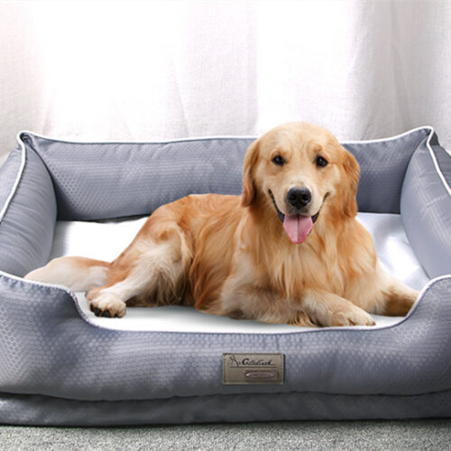 Removable Pet Litter Dog Beds